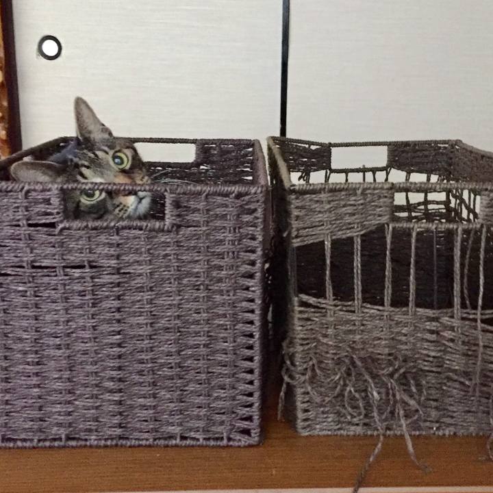 9c52e9f2 b4d9 4190 a62b 17ae71dbbde9 1634977624365