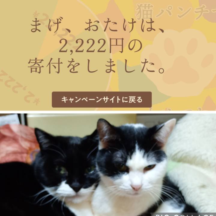 9c52ff5c 1304 4a9b b774 71033fb27024 1771745358856