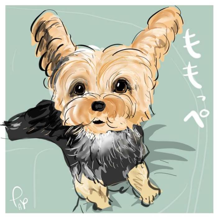 9c530734 1dfb 4ced add1 efd9382092f6 1691059172284