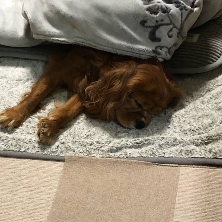 9c530ffe 0305 4b93 80f3 e028336f358c 1648285264336