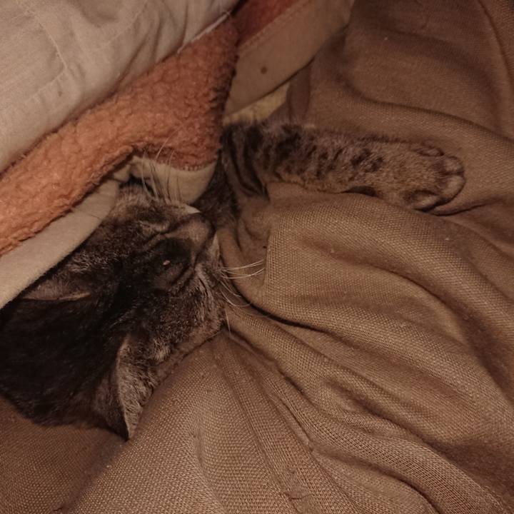 9c531bac 18b1 4b24 9b2e 798a5e944129 1587062421418