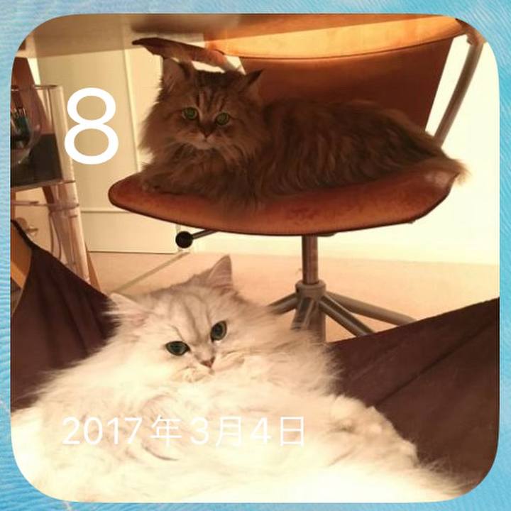 9c534498 4368 4102 846e 8d6fb94d2f3c 1709862690566