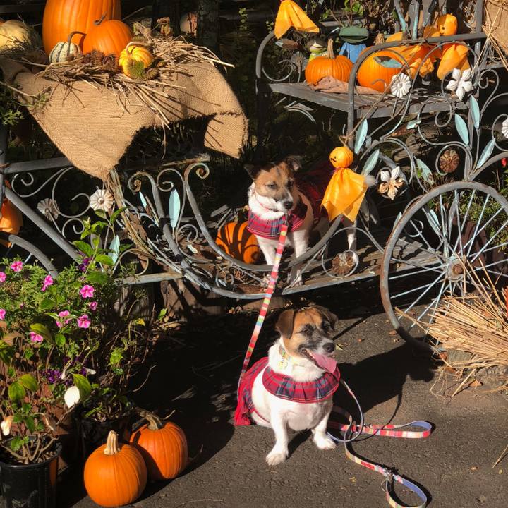 9c536a33 e2b5 4df7 96c6 7b78c0dff566 1570327307598