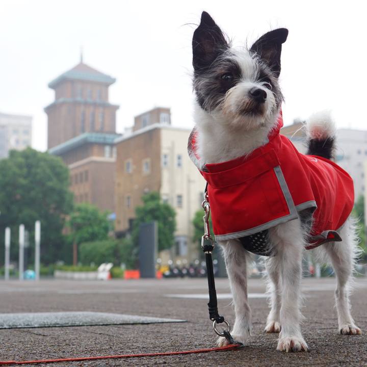 9c53717a 2f8a 44f9 8d32 fec331673a9f 1562924313301