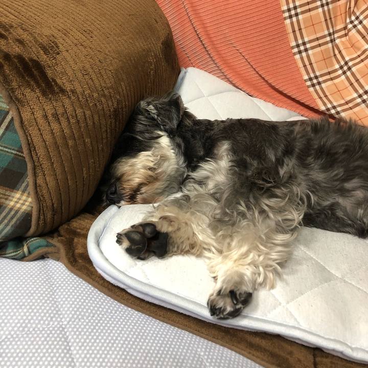 9c53c4ee debb 421c a49e 6eddfd36cd4e 1634367607615