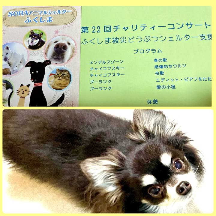 9c53ce1a b600 43d2 a9e9 e33ec0380823 1678524963833