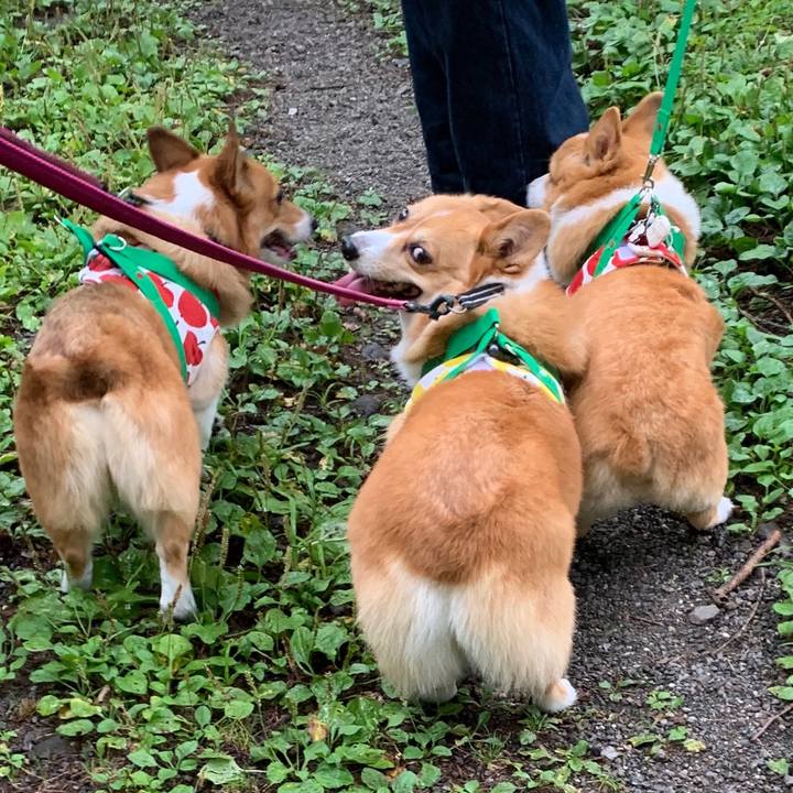 9c53e33d 46ba 431b b4ec 439e6b57e7da 1568973737356