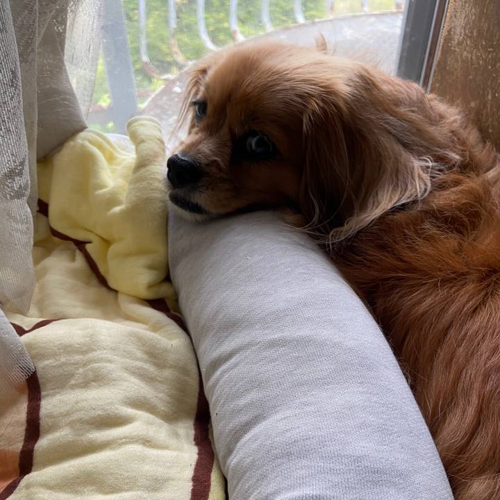 9c53e8f9 06ff 454d 8e41 25cea104695d 1652650605409