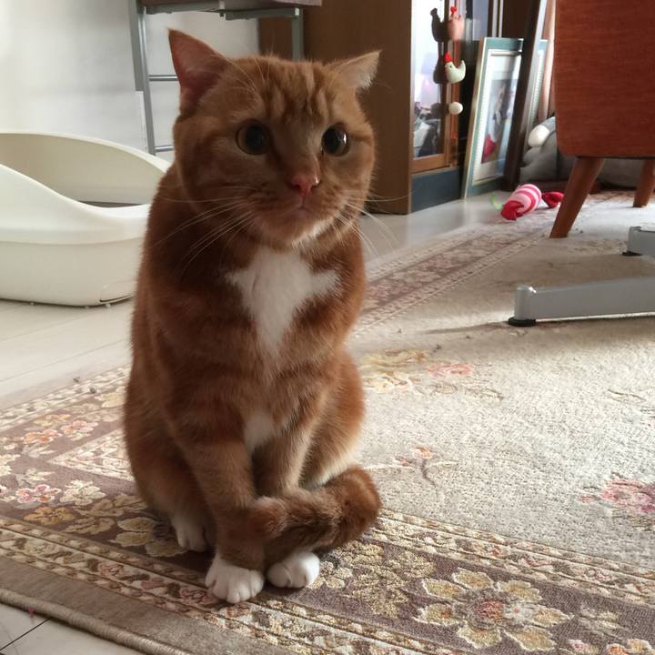 9c53fabe ed35 4905 b79f 2283d662270f 1548806557664