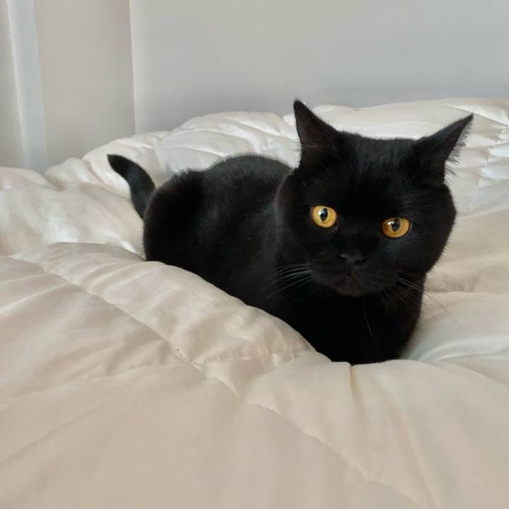 9c543323 5a16 4a77 8341 2e67d4e41694 1643804193078