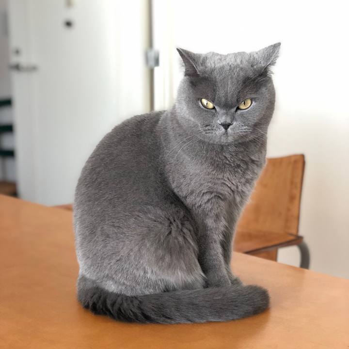 9c54406b 3b42 4ecd 8af9 9fba84128b09 1547951728712