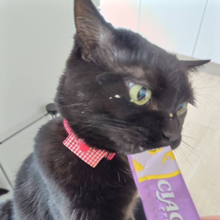 9c54676c c776 4a00 b4ad 4dc327dbe611 1722033794521