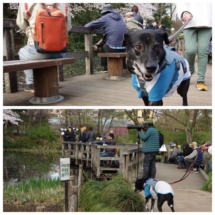 9c547769 3062 4429 b9b2 fe49fab52b42 1743901378488