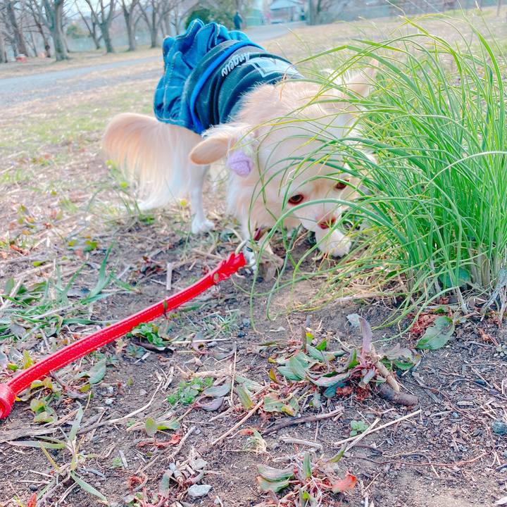 9c54ae26 dd38 4b8a 9b84 b674b394bf7f 1646646743714