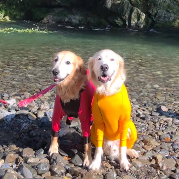 9c54c9c0 816a 4b03 953f 0c61e64053b5 1566818216313