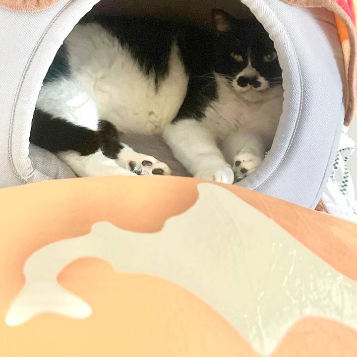 9c54cdbf ddaa 4b2e bc20 9a9bf7d48a45 1709167992857