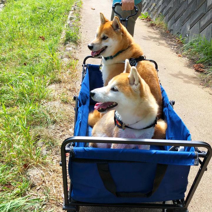 9c54ea18 5a5d 4416 b788 79b01dad68d8 1598588028482