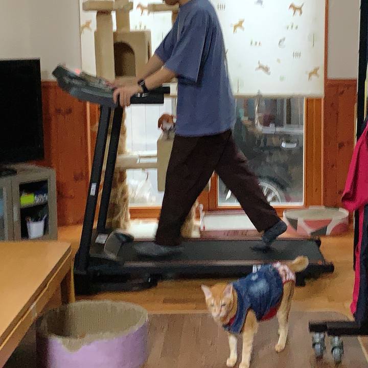 9c550a22 14b1 4bd4 95c6 8d8e2c7abc42 1624702702304