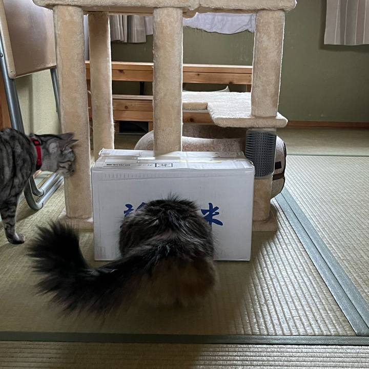 9c55257c c9ba 41c8 9733 81ce85a2dde4 1767408716944