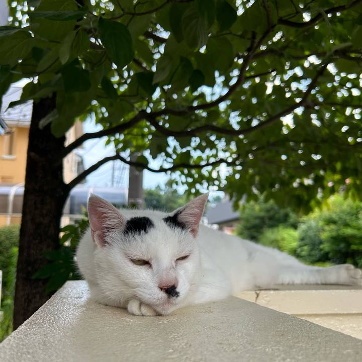 9c553112 c149 4b7c b3e5 70fdbf41b2d0 1751381997596