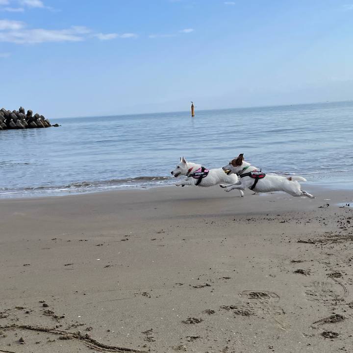 9c55640f 4b8e 415e 80ad b9af9dd0e348 1764469875516