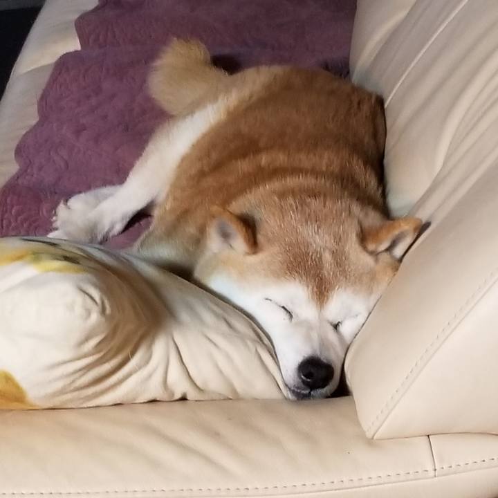 9c5567fa 6503 4f65 a775 fc07d0b3392c 1711795695196