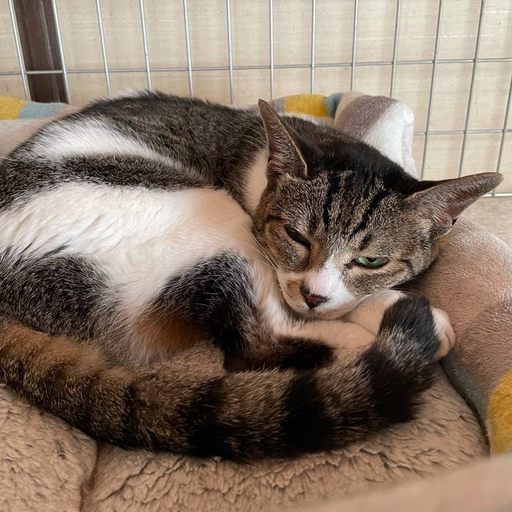 9c557fb8 c077 4a8c 9f17 0c5606f86d82 1627090759195