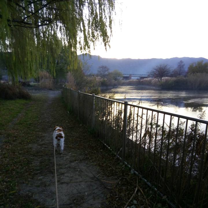 9c55a030 1edb 449f af42 d403aa54beb6 1513214461985