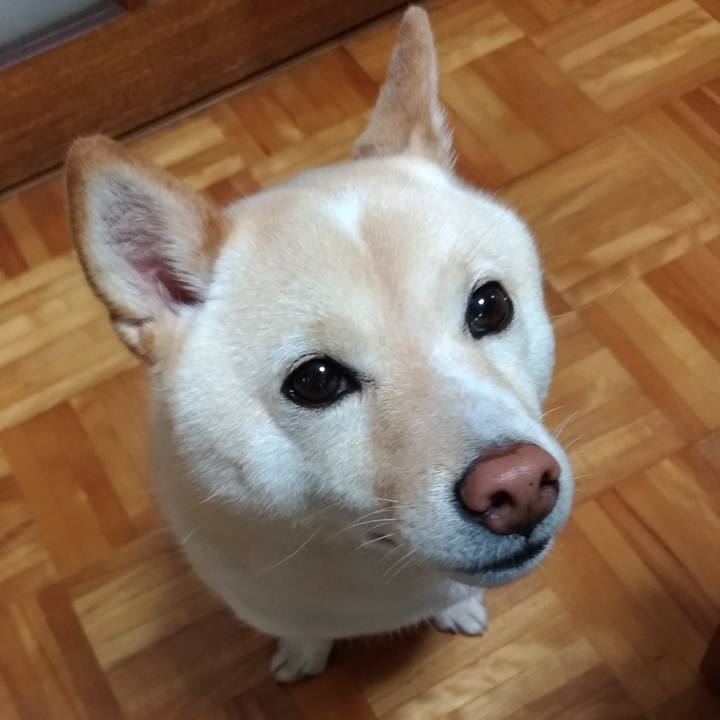 9c55cd83 6481 4692 a9fe 8291385af942 1593123140075