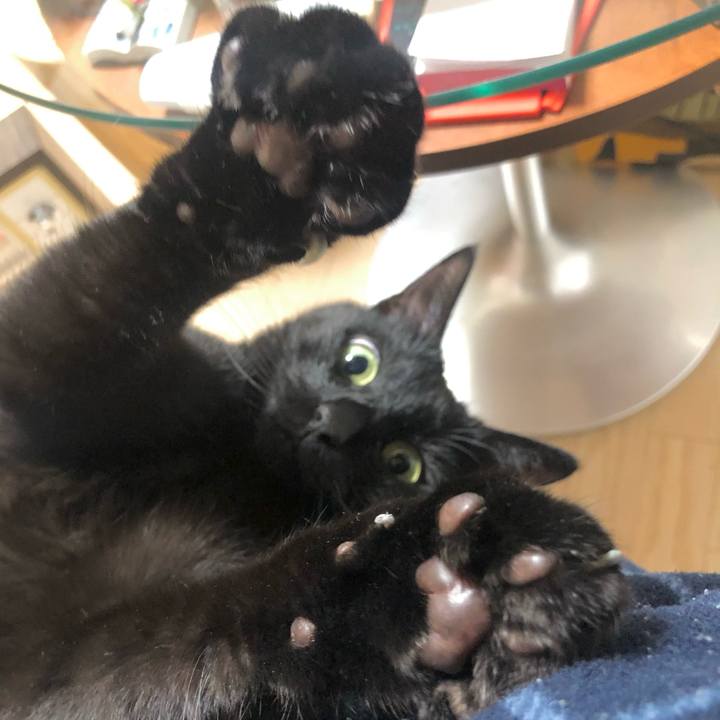 9c55f242 0e86 46a5 8028 91ae8abdf31e 1609245724008