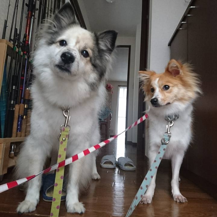 9c562e6d 98e3 4cb6 b2f1 dccae75bbb84 1565608534900