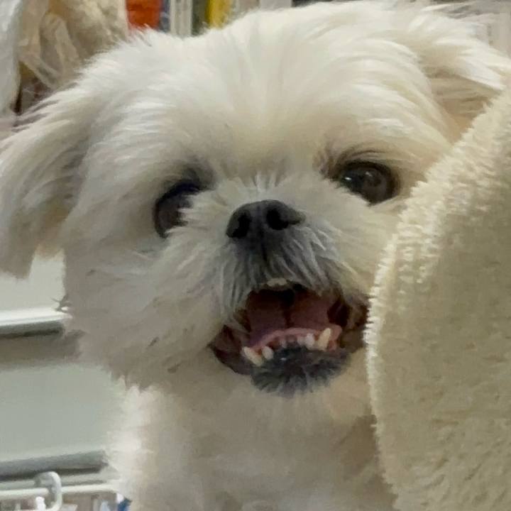 9c564961 1aae 4a57 abb4 21ae61ba62dd 1737812267002