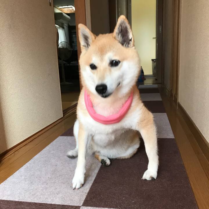 9c569032 b4e1 45b9 8018 51bdf2e56c26 1531376778760