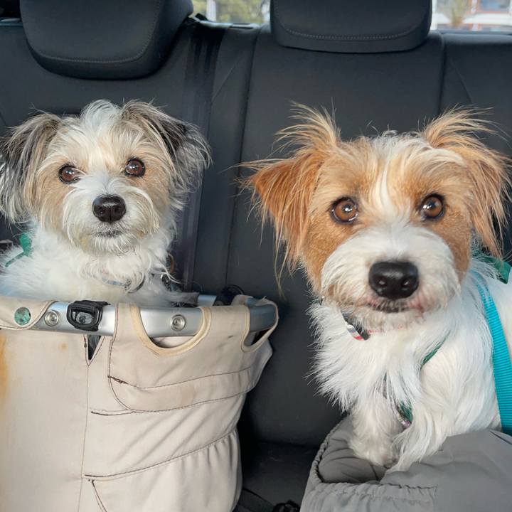 9c56edfd 3839 41ba a329 32dc0a1520e5 1775119109354