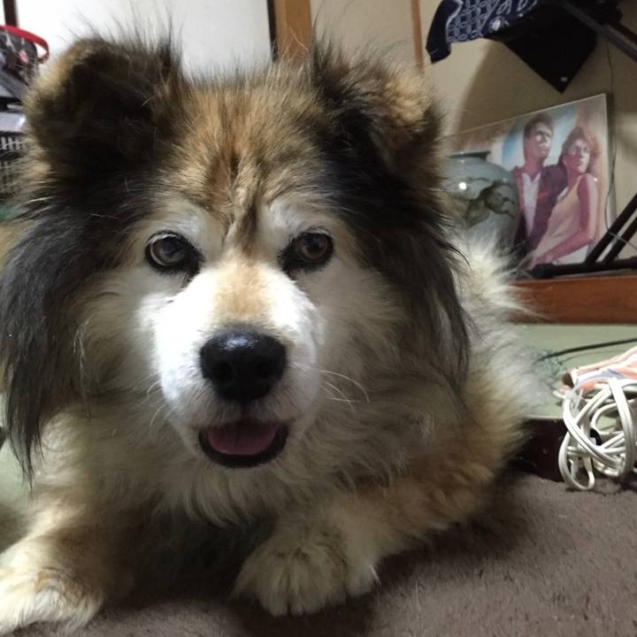 9c57183a 8300 40f4 9858 89609fa89626 1561565211657