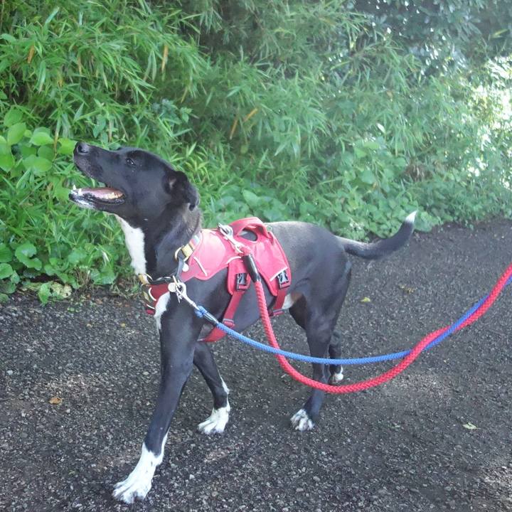 9c571f48 004e 4892 94ab a98476dbeb96 1592612788009