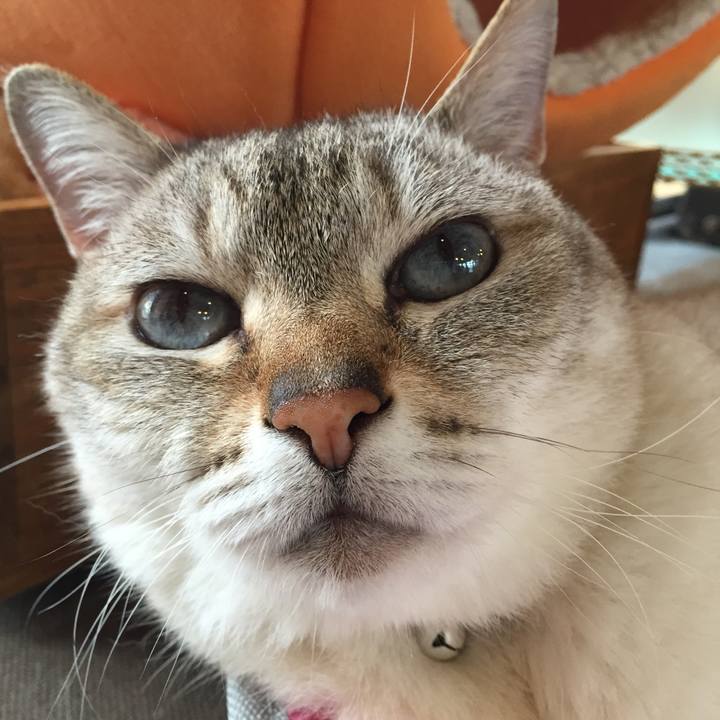 9c573de5 718d 49d7 ba03 79773a51019b 1527669889334