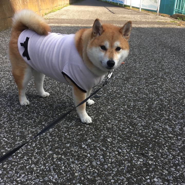 9c57492b 6681 44aa bd5c 48c3a179718b 1543377365950