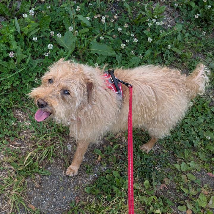 9c5754d8 2aff 45dd 8e14 4e5ba01d9e52 1719701848050