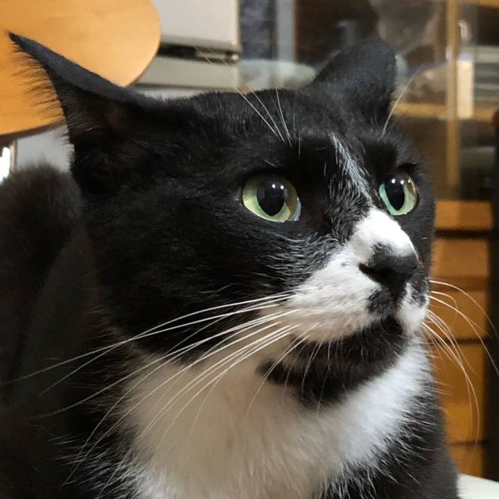 9c575d2a 1492 4199 a41b 7181b0ad7002 1568446054693