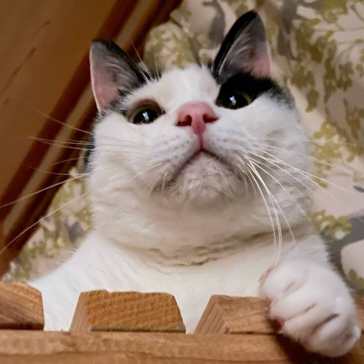 9c576cf4 17c2 4e61 9af2 7f4aeb1a92ed 1594903406416