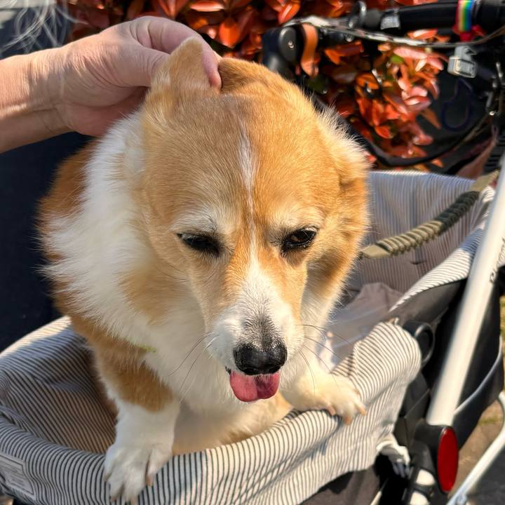 9c57d97c dbf7 4731 921b 1b874b41f539 1775697461153