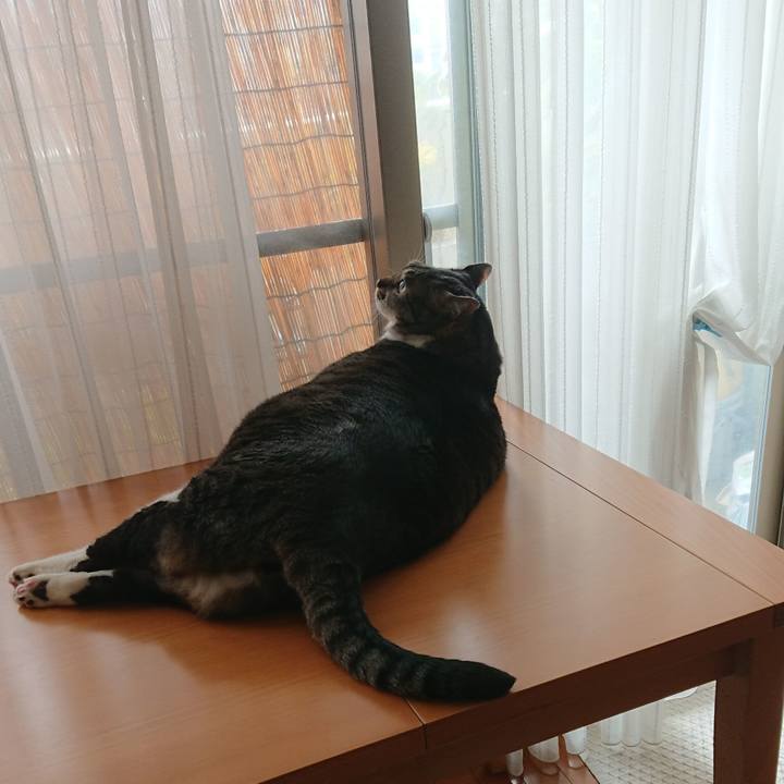 9c57dacc 1add 47fb add7 f459ff38506a 1566264674153