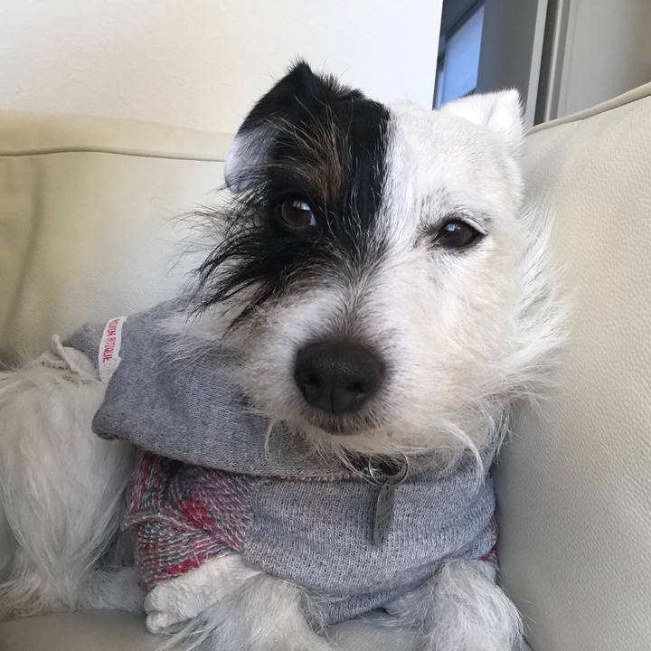 9c57e16b ff82 40a8 bcfd 306c59554fee 1515481332641