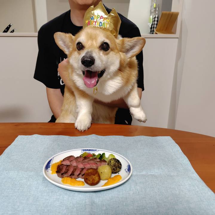 9c5859bb e23b 4973 b14c d250d1307238 1747569519439