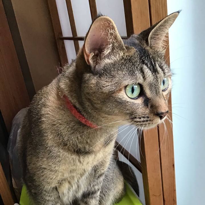 9c586b87 d195 4ba6 86fb a08e3736acaa 1628916275728