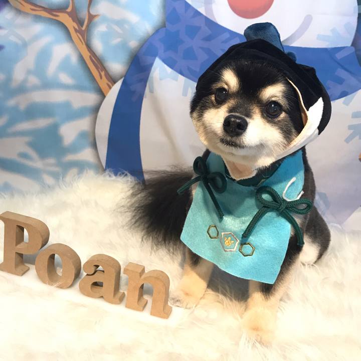 9c586cbd 388c 453e 9604 495df87aa16d 1582973136296