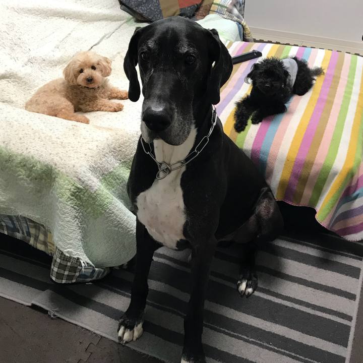 9c5872d5 519c 43a8 a04e cdc7b8279cb2 1529015476889