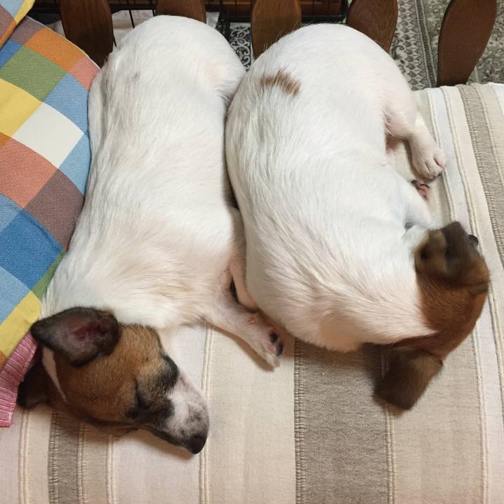 9c58b234 a8b9 41d7 9123 0bb9a009847b 1524484060843