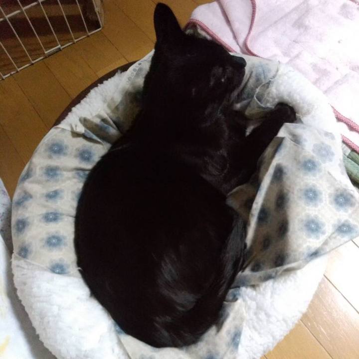 9c58ca2e 704c 4545 8b8c 199dcd06f259 1671180277576